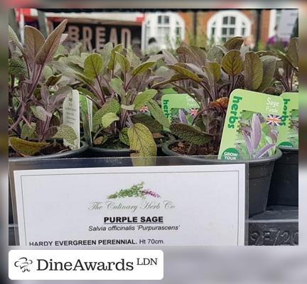 Meals - Balham Farmers Market