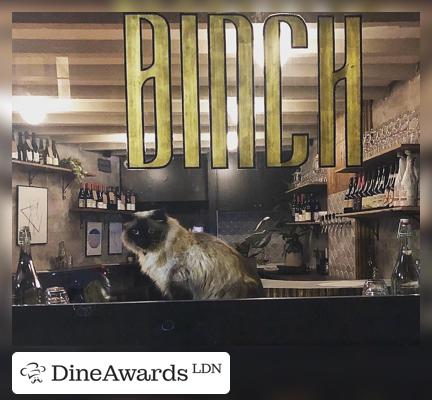 Bar counter - Binch