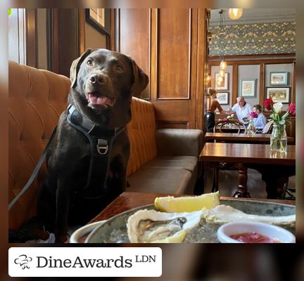 Dining table - The Kilburn Arms