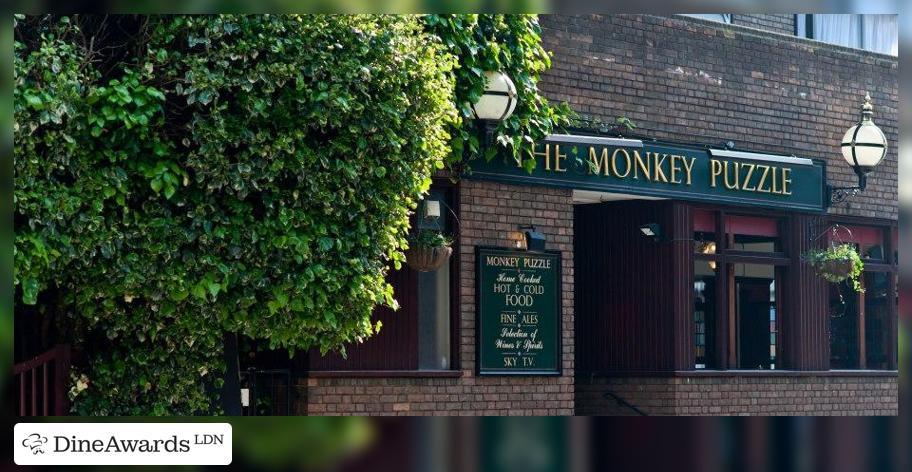 Exterior - The Monkey Puzzle